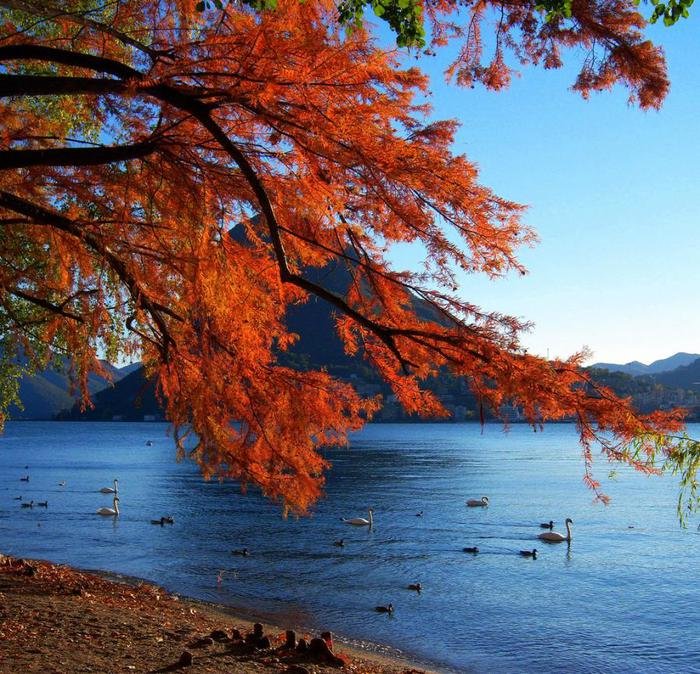 красивые пейзажи осени фото