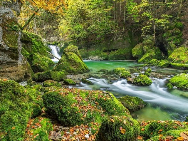 красивые заставки на рабочий стол природа фото