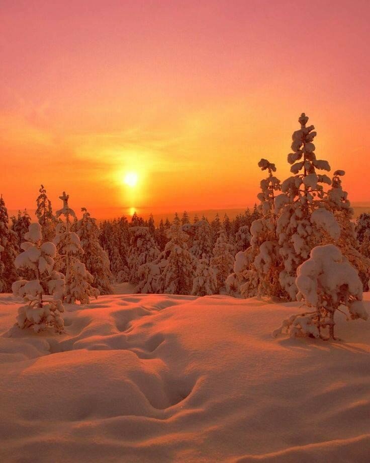 красивые зимние пейзажи фото