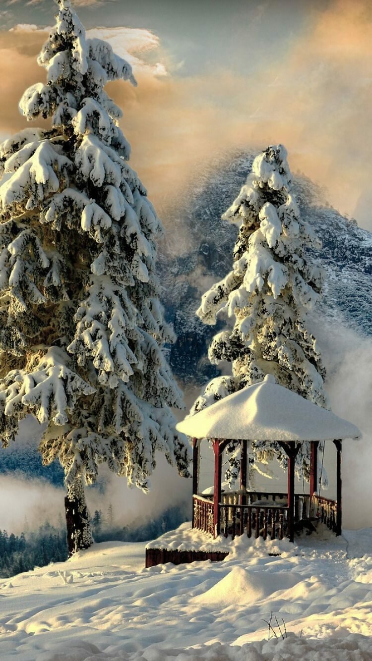 красивые зимние пейзажи картинки фото
