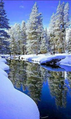 красивые зимние пейзажи картинки фото