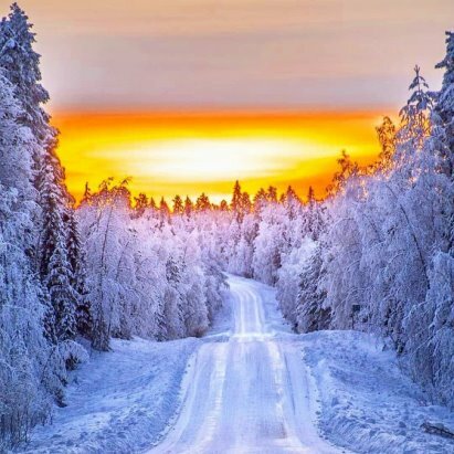 красивые зимние пейзажи картинки фото
