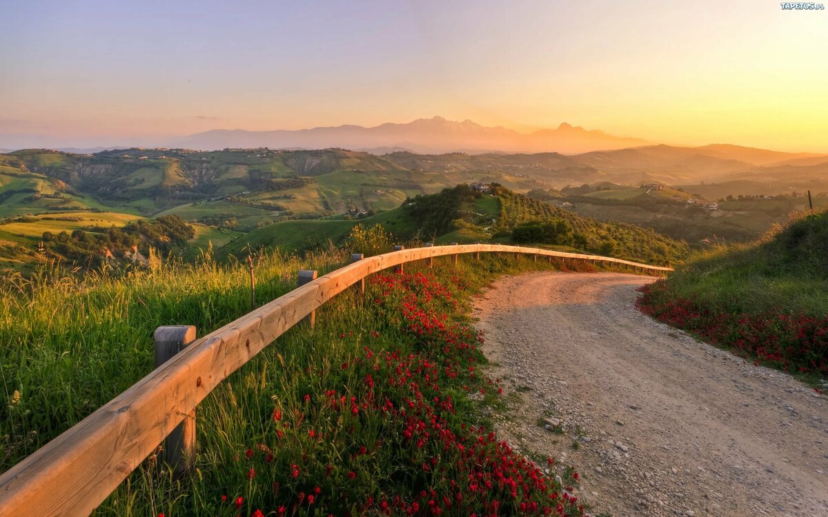 красивый пейзаж дорога фото