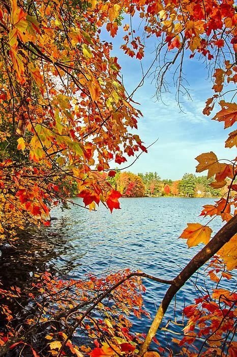 краски осени фото