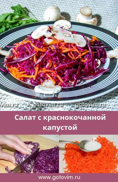 краснокочанная капуста фото
