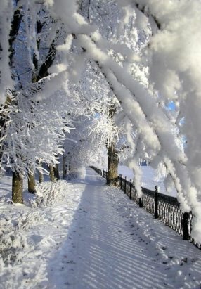 красота зимы фото