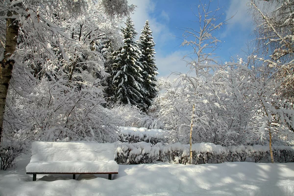 красота зимы фото картинки фото