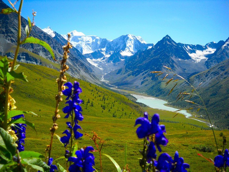 красоты горного алтая фото
