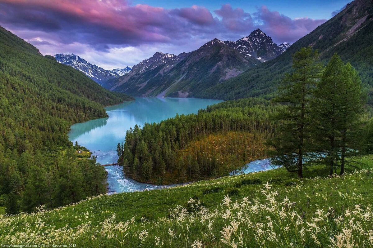 кучерлинское озеро алтай фото