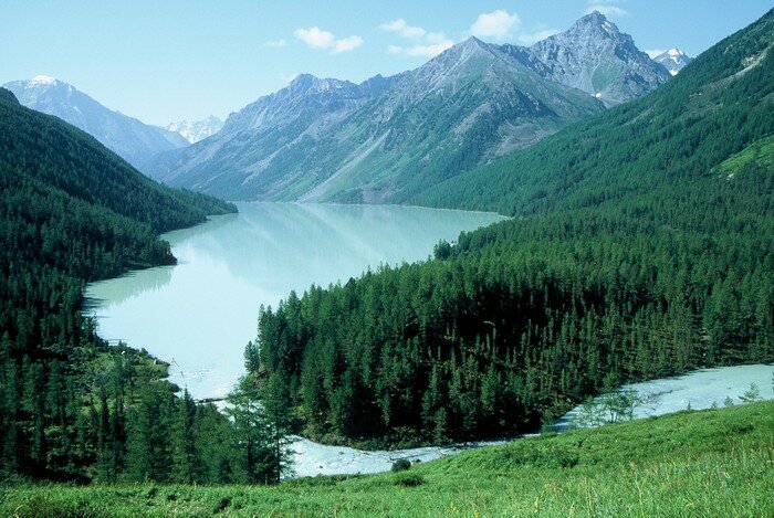 кучерлинское озеро алтай фото