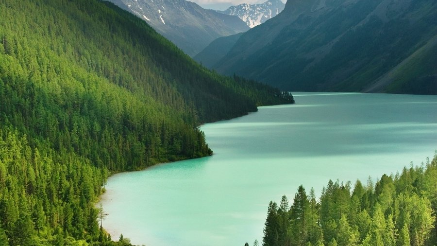 кучерлинское озеро алтай фото