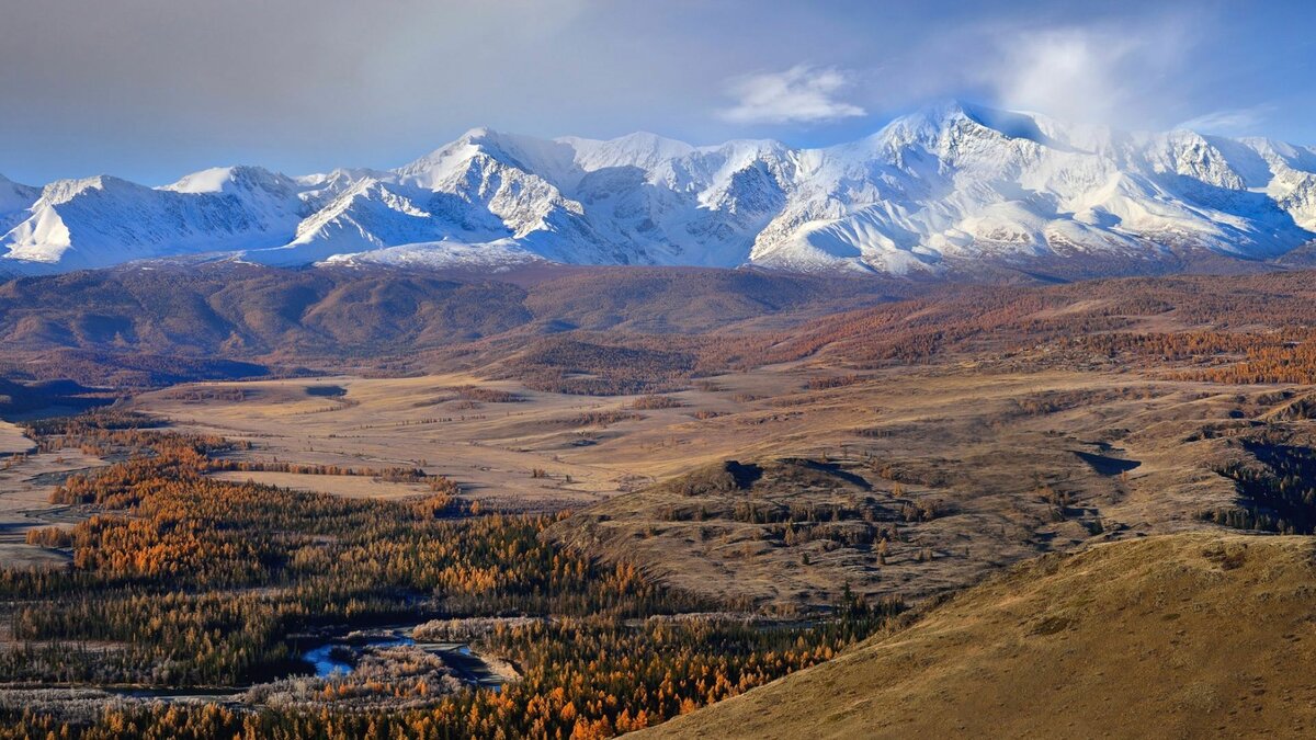 Курайская степь фото
