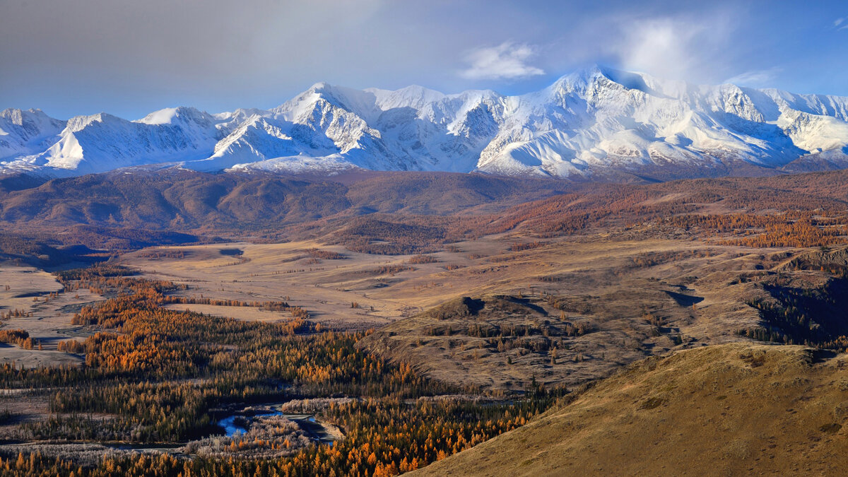 Курайская степь фото