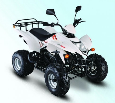 квадроцикл бензиновый motax atv raptor lux 125 cc фото