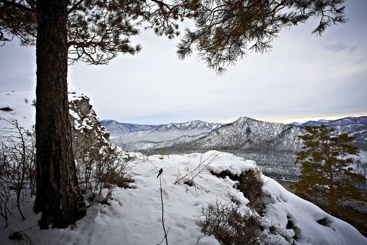 лаго наки зима фото