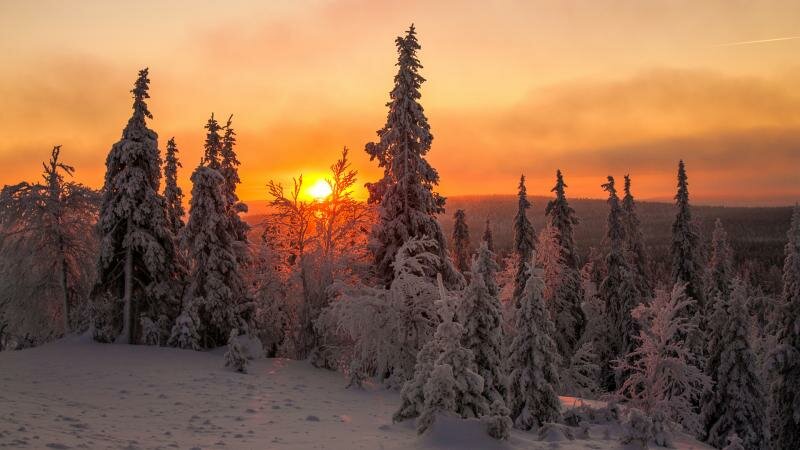 лапландия обои фото