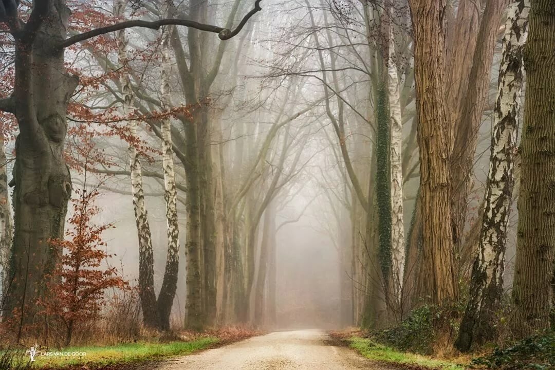lars van de goor фотографии фото