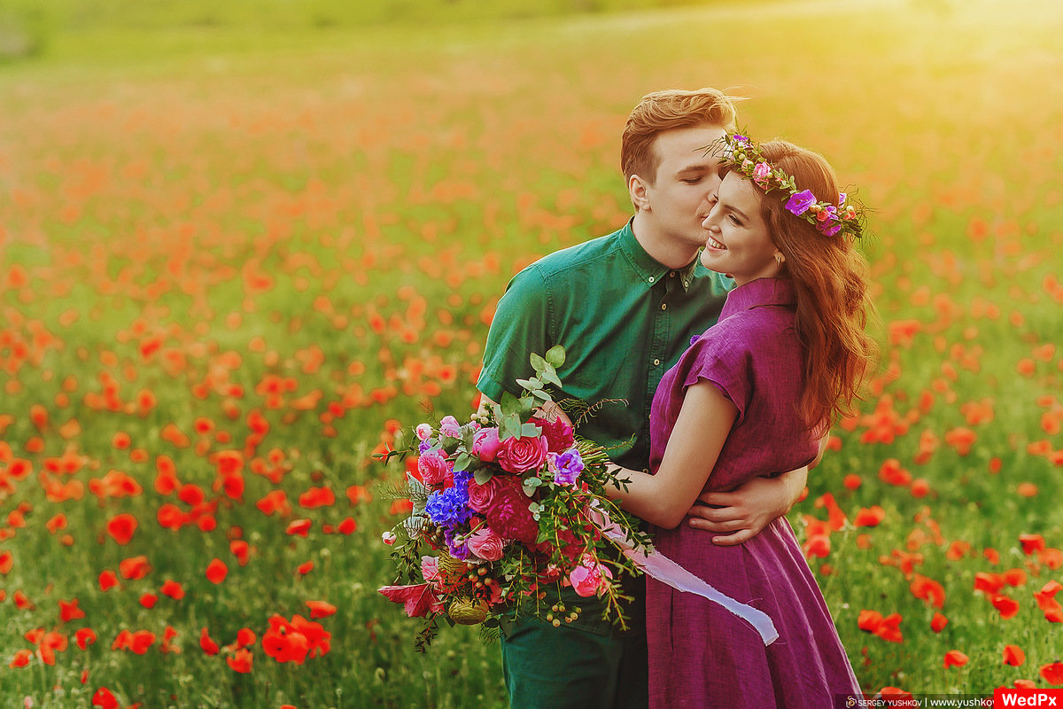 лав стори в маковом поле фото