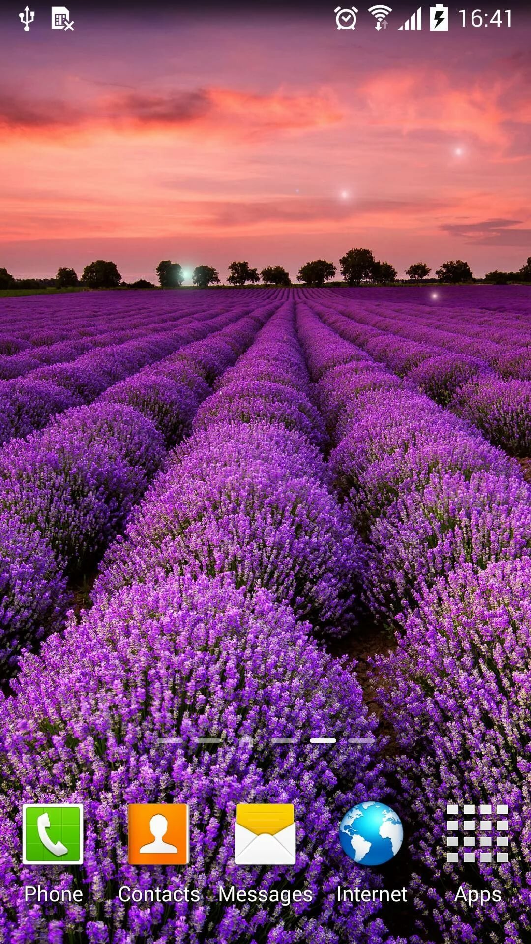 лавандовые поля в провансе франция фото