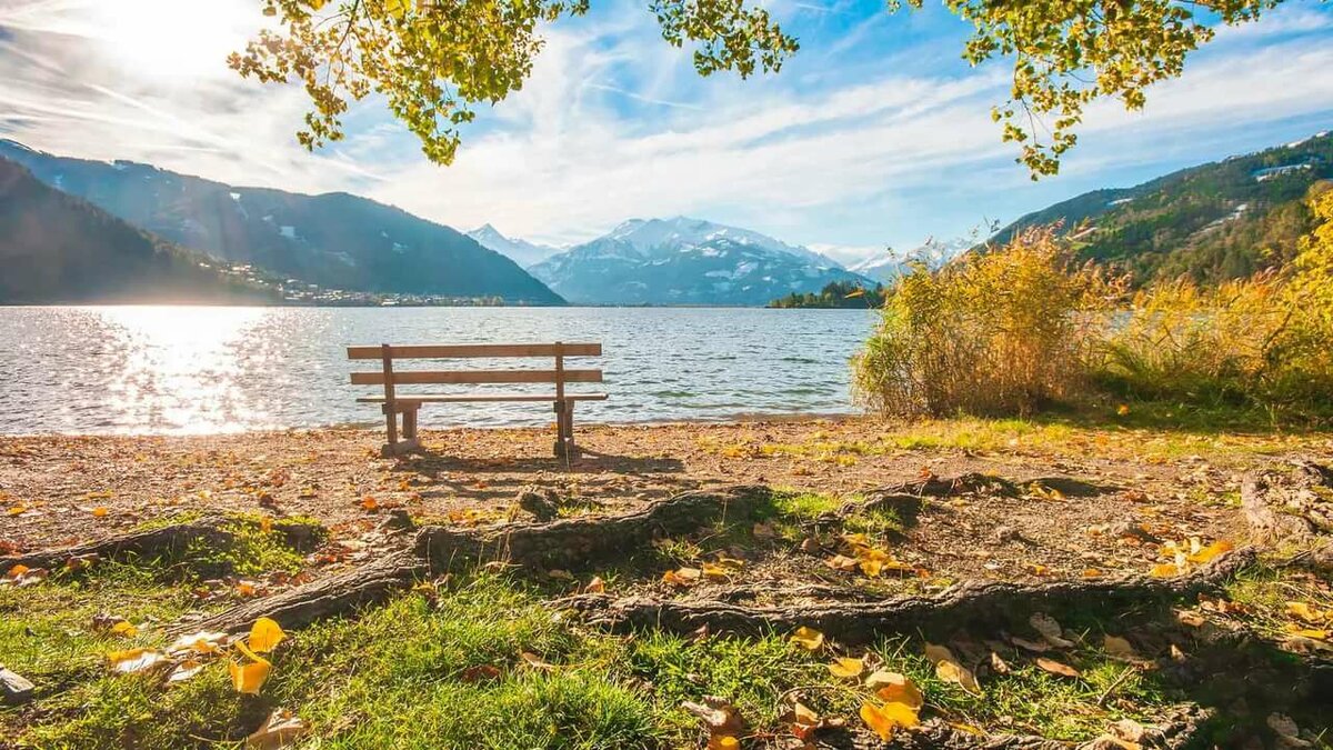лавочка у озера в горах фото