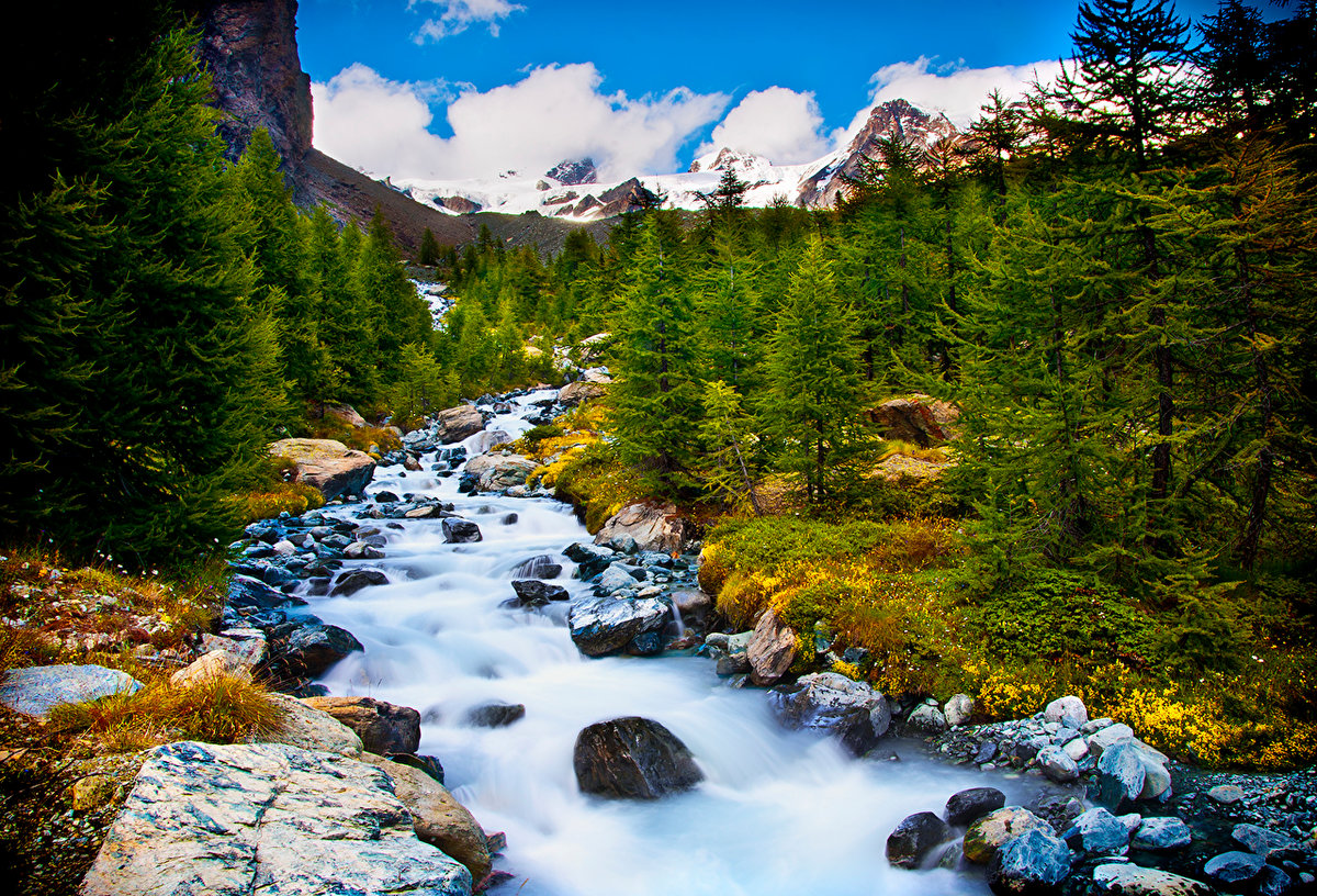 лес горы пейзаж ручей фото