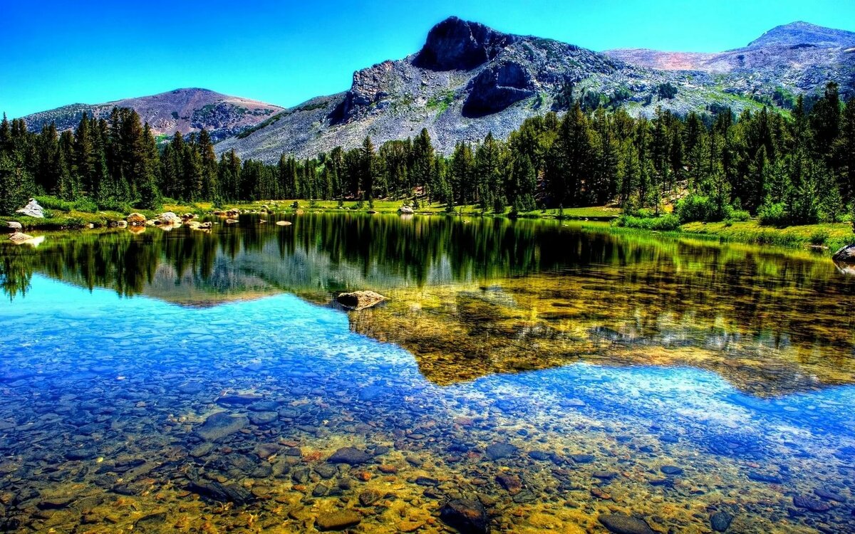 лес горы река фото