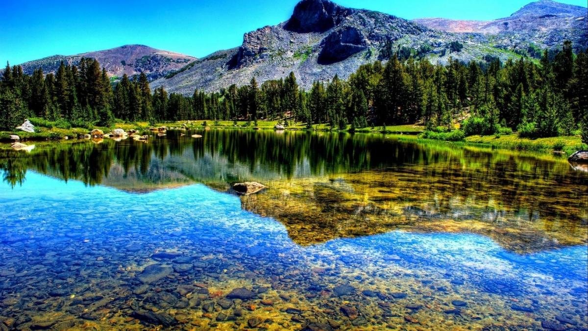 лес горы река фото