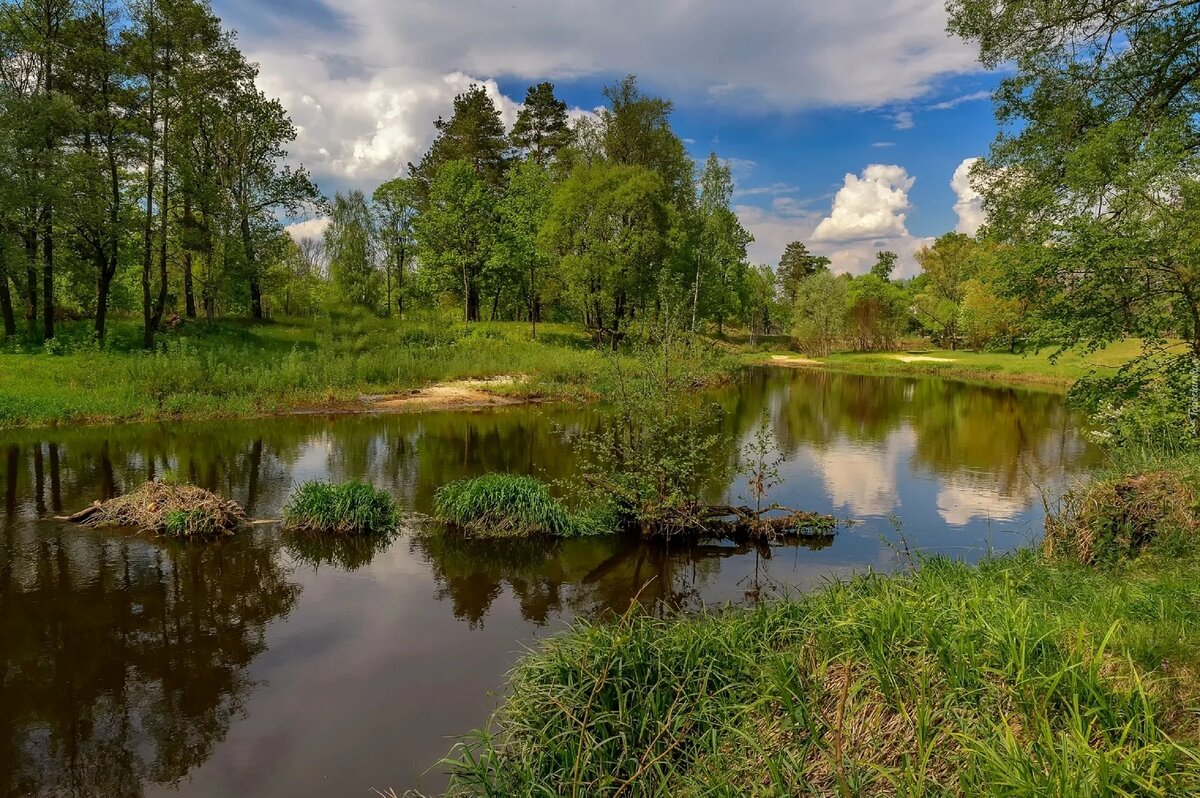 лес и речка весной картинки фото