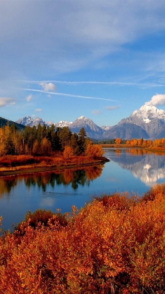 лес осень горы река фото