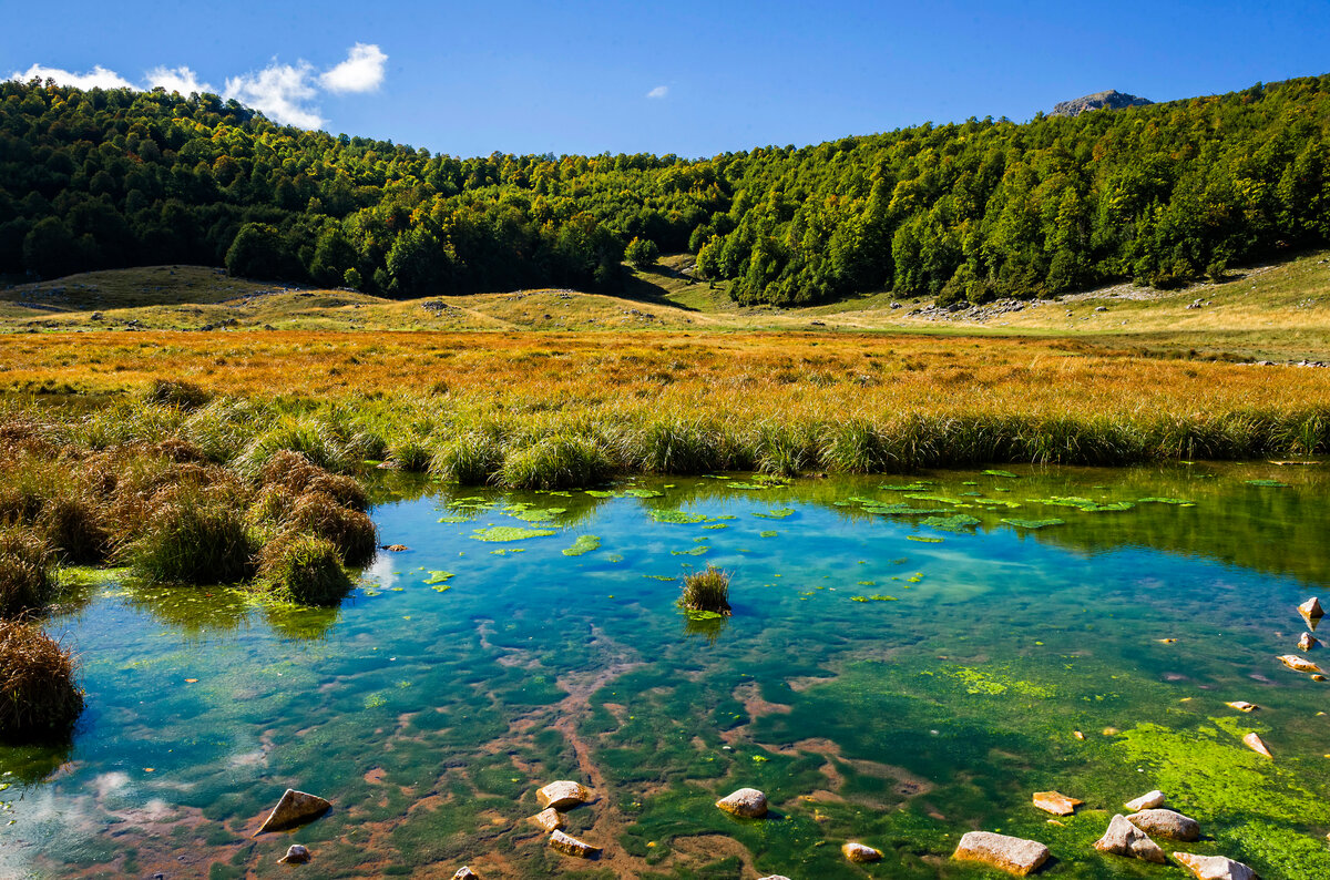 лес озеро италия фото