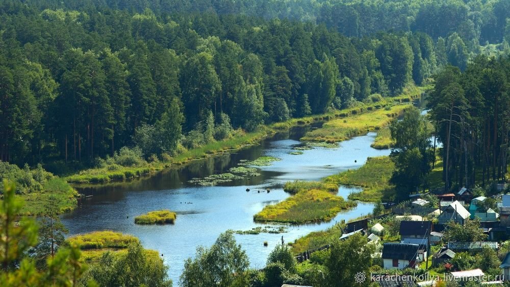 лес речка вид сверху фото