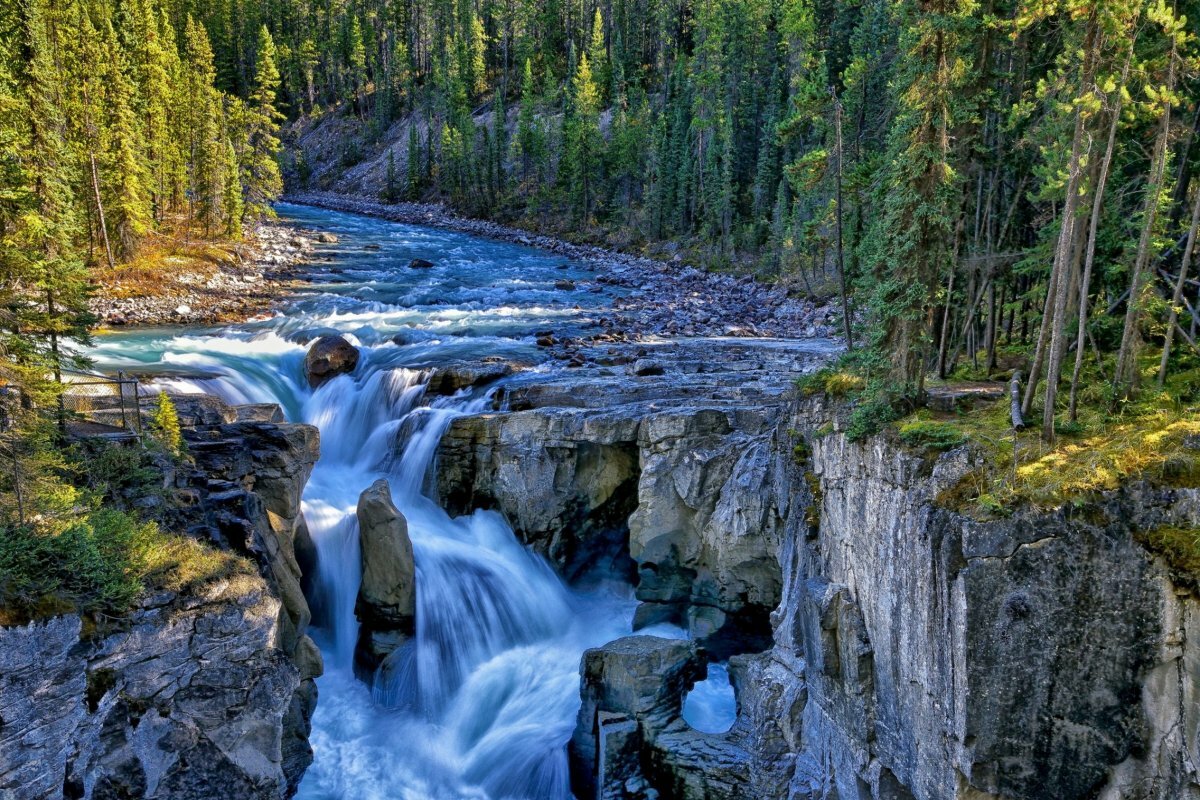 лес река водопад фото