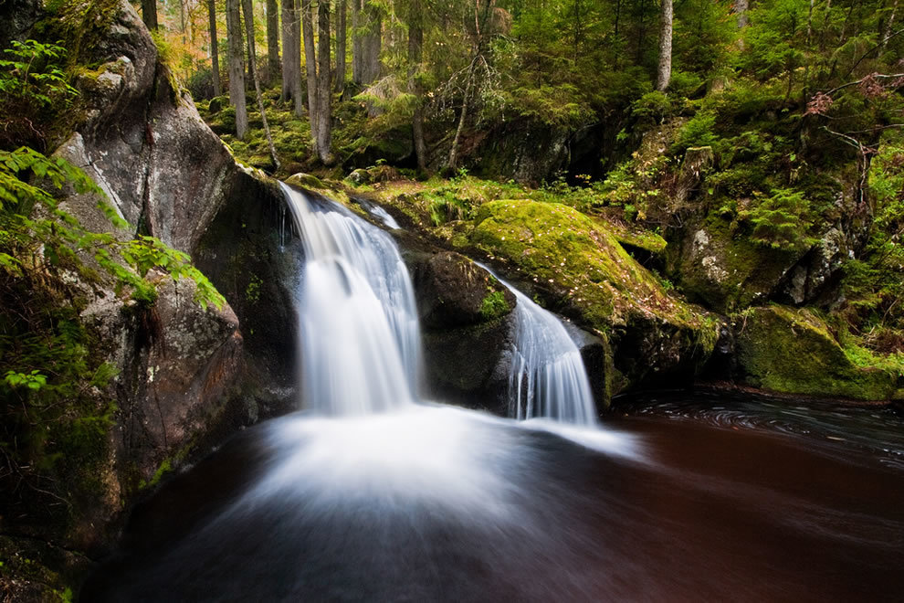 лес водопад фото