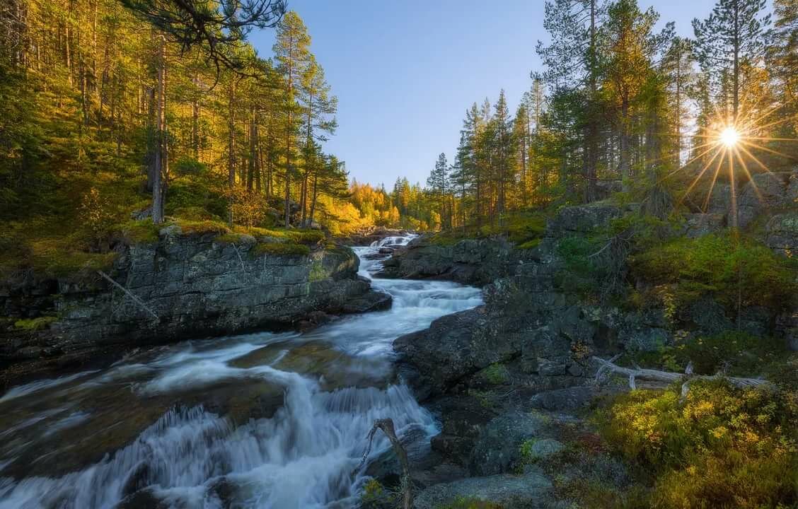 лесные ручьи и озера фото пейзажи фото