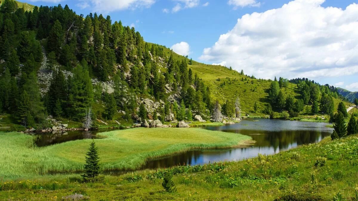 летние пейзажи сибири фото