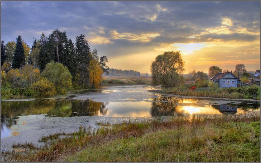 летний пейзаж тихая заводь фото