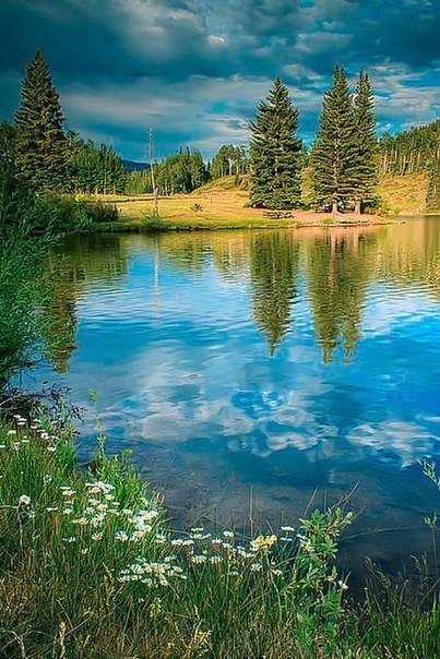 лето природа лес река озеро красивые картинки фото