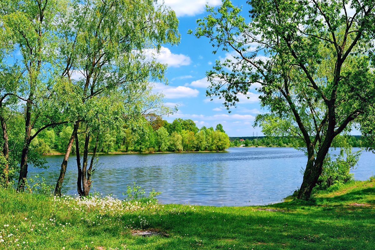 лето природа лес река озеро красивые картинки фото