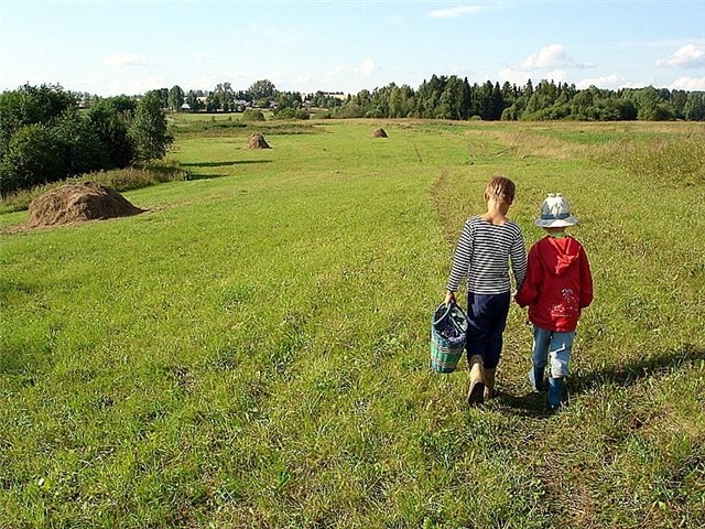 лето в деревне фото