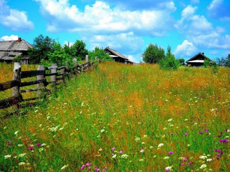 лето в деревне фото картинки фото