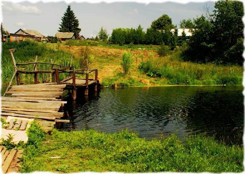 лето в деревне картинки фото