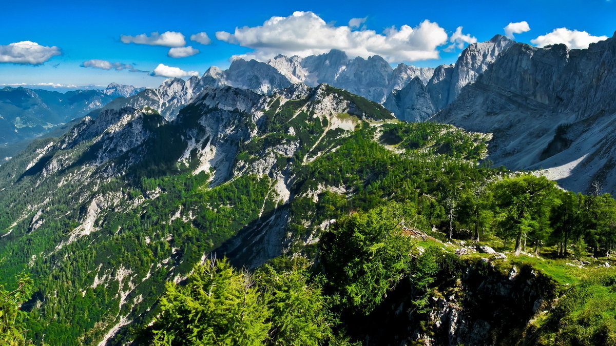 лето в горах картинки фото