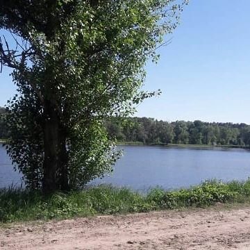 линевское озеро фото