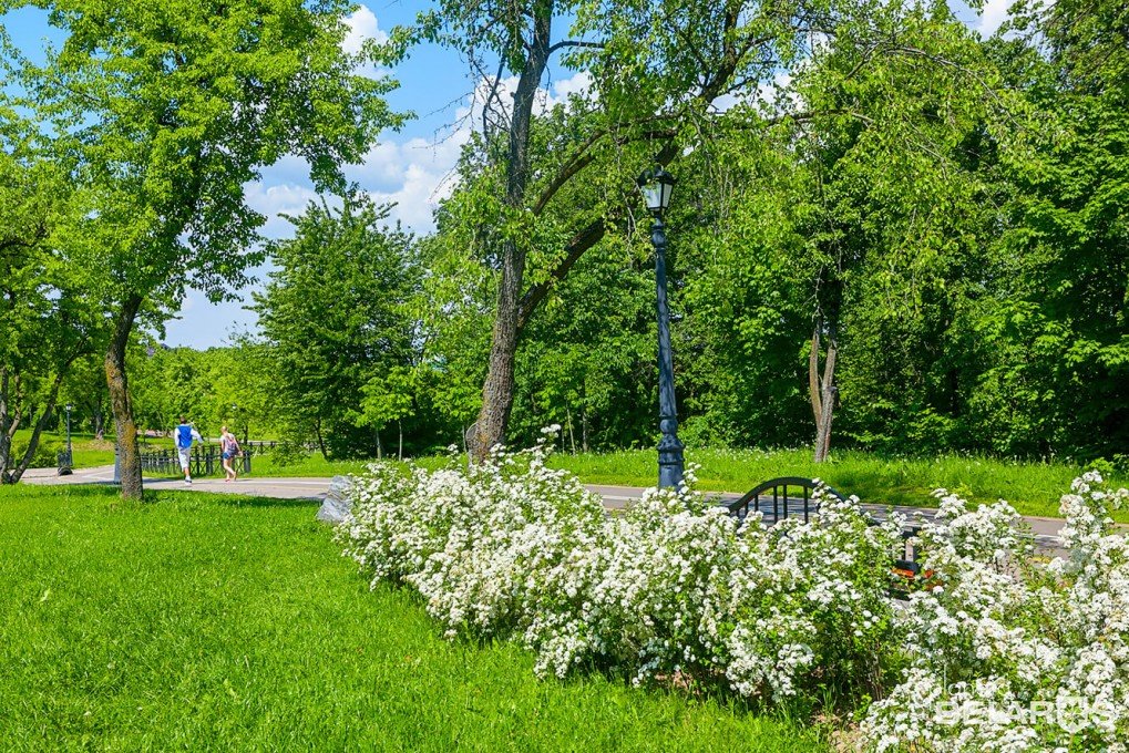 лошицкий парк в минске фото