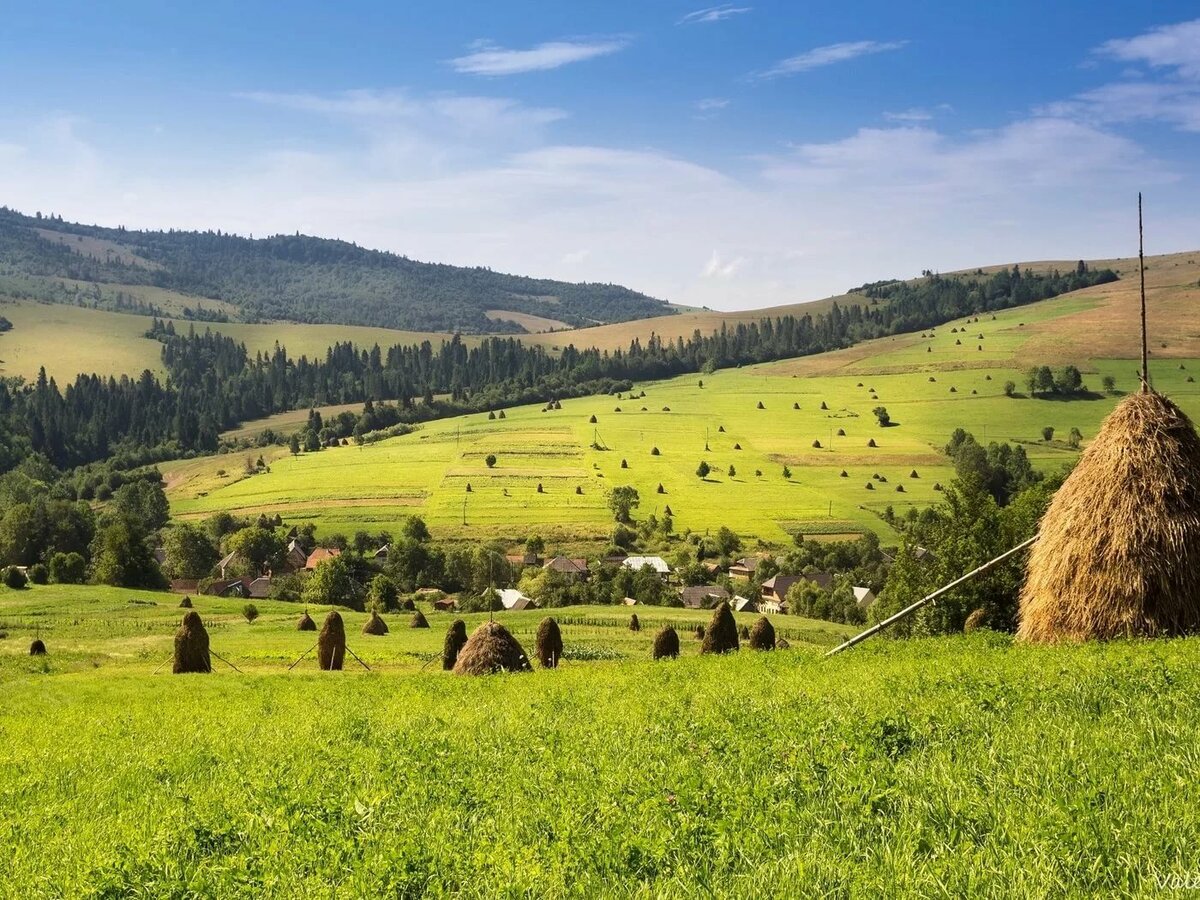 луг деревня фото