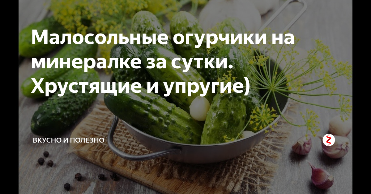 малосольные огурцы фото