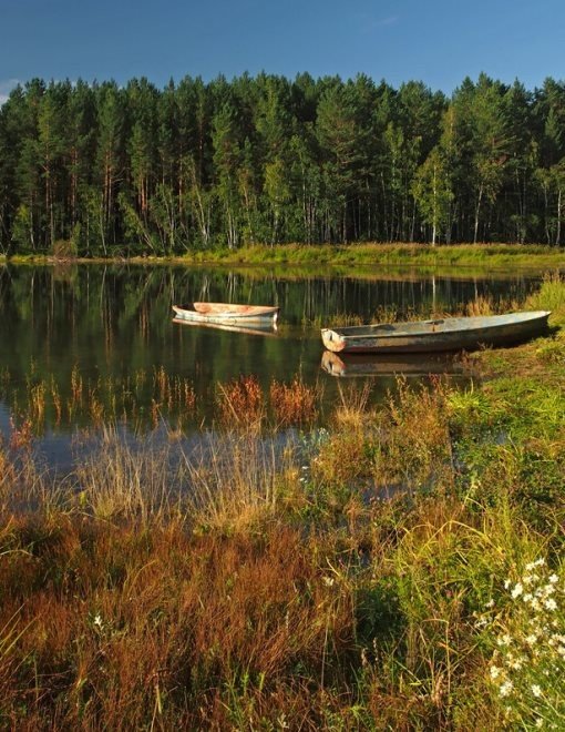масельга кенозерье фото