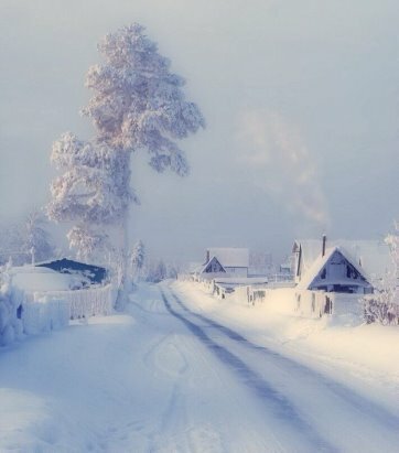 метельная зима фото