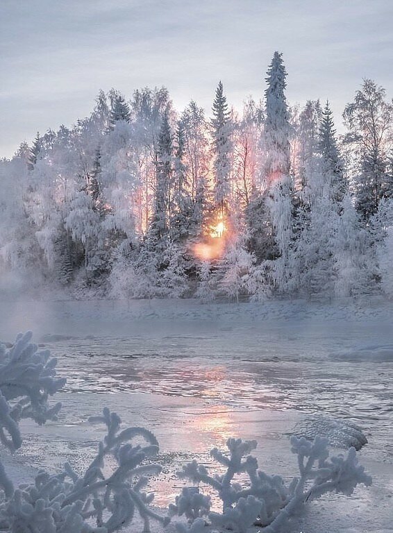 морозное утро фото