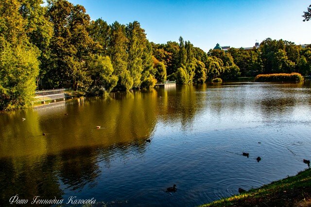 московские пейзажи парки, пруд фото